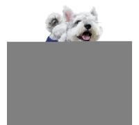 Dog Coat Waterproof - Dog Snowsuit | Waterproof Non Slip Cold Weather Puppy Outfits with Attached Boots | Winter Dogs Outfits | for Small Medium Large Puppy Hiking Home Indoor Outdoor Walking