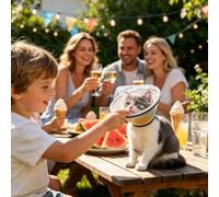 Dog Cone, Dog Recovery Cone, Anti Bite Pet Collar, Anti-Foraging Dogs Cones