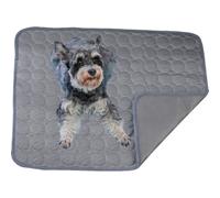 Dog cooling mat 4 times the effect,Outdoor pet cooling bed,washable ice silk self-coolings pad,comfortable self-coolings blanket,pet bed,sleeping pad, cat and dog kennels,cage (Dark gray, 100*70cm)