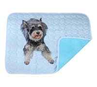 Dog cooling mat 4 times the effect,Outdoor pet cooling bed,washable ice silk self-coolings pad,comfortable self-coolings blanket,pet bed,sleeping pad, cat and dog kennels,cage (Light blue, 70*55cm)