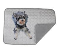 Dog cooling mat 4 times the effect,Outdoor pet cooling bed,washable ice silk self-coolings pad,comfortable self-coolings blanket,pet bed,sleeping pad, cat and dog kennels,cage (Light gray, 70*55cm)