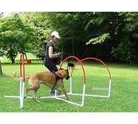DOG Copenhagen Agility Run Hooper Agility Accessoire pour Chien