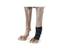 Dog Copenhagen Back-on-Track Accessoire pour Chien Protection de Patte Avant Problèmes Articulaires Noir Taille L 5 Unités