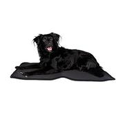 Dog Copenhagen Back-on-Track Matelas de Cage pour Chien Taille M