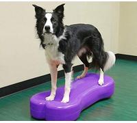 DOG Copenhagen Fitpaws Giant Fit Os Bleu 1 Unité