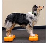 Dog Copenhagen FITPAWS Mini K9 Bone Disque d'Instabilité Os pour Proprioception