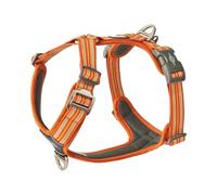 DOG Copenhagen Harnais pour Chiens - Comfort Walk Air 3.0 Harnais - Confortable et Léger - Réglable, Orange Sun, L