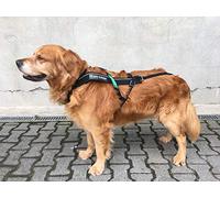 Dog Copenhagen Non-Stop Harnais de Canicross Free Motion Taille T10