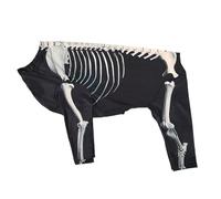 Dog Costume, Halloween Skeleton Bodysuit, Soft Comfortable Fabric, Easy to Wear Design, Puppy Pet Outfit for Holiday Photos, Celebrations, Travel, Home, Outdoor Use, L/XL/2XL/3XL Size
