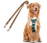 Dog & Dress Ensemble harnais et laisse pour chien - Respirant, réglable, rembourré et réfléchissant - Pour chiens de grande et moyenne taille (vert, M (tour de poitrine de 59 à 76 cm)