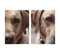 Dog Eats Ice Cream Cone Passport Holder Cover PU Leather Waterproof Passport Case Travel Wallet with Credit Card Slots for Women Men, Style, 20.3 x 13.8 cm, Style :, 20.3x13.8cm