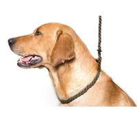 Dog & Field Deluxe Gundog Laisse pour Chien avec Bouchon en Caoutchouc, Facile à Enfiler, Pas de Collier ou de Harnais nécessaire Vert Olive Taille Unique