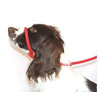 Dog & Field Figure 8 Laisse Anti-Traction Licol Taille Unique Nylon tressé Doux Confortable, Souple, sécurisé et prouvé pour Rendre Vos promenades Plus agréables - Plus de Traction (Rouge)