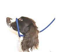 Dog & Field Laisse anti-traction Figure 8 (bleu) - Taille unique - Nylon tressé super doux - Instructions de montage incluses (français non garanti) - Confortable, souple, sécurisé et prouvé pour rendre vos promenades plus agréables - Plus besoin de tirer