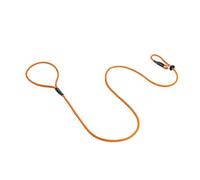 Dog & Field Signature Laisse coulissante pour chiens, Orange. Laisse coulissante légère de 1,25 m, avec butée coulissante en caoutchouc pour le dressage - Aucun collier ou harnais nécessaire (Orange)