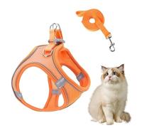 Dog Harness and Leashes Set - Reflective No Choke Pet Vest Harness | Escape Proof Adjustable Soft Mesh Puppy Harnesses and Leash Set with Reflective Straps, Breathable Cat Dog Vest for Training