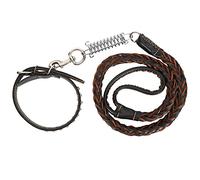Dog Leash & Collar Set | Secure Walking System for Large/Medium Dogs | 2 - Layer Artificial Leather with Shock Absorption Spring | 50.6in Leash + 23in Collar (Black)
