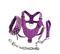 Dog Leash, Laisse en Cuir de Collier de Harnais de Chien clouté à Pointes(Signal Line,M 49-57cm)