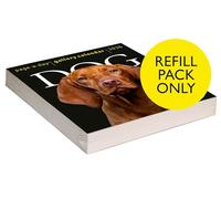 Workman Calendars - Pack de recharges pour calendrier Dog Page-A-Day® Gallery 2026