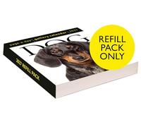 Dog Page-A-Day® Gallery Calendar Refill Pack 2027