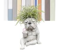 Dog Planter Pot, Display Home Decor Accent, Small Planter Pot with Drainage with Feature, Decorative Resin Animal Plant, Puppy Shaped Garden Decor, Indoor Shelf Balcony Use 15x10cm/5.9x3.93 Inch