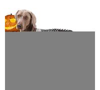 Dog Skeleton Costume - Small Dog Clothes | Christmas Outfit Halloween Costumes | Realistic Lion Wig For Halloweeen | Puppy Bodysuit Pet Halloweens Clothe For Holiday Photo Celebrations Travel