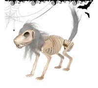 Dog Skeleton - Modèle décoratif d'os de canine, ornement squelette spooky | Image réaliste de chiot, affichage de crâne de style horreur, accessoire de personnage de tête flexible, élément de design à