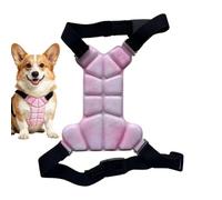 Dog Summer Vest - Double-Sided Adjustable Strap - Hot Summer Dog Cooling Vest - for Strolling Training Adventure Hiking Small Medium Breeds