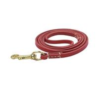 Dog Traction Rope, Dog Safety Belt, Ergonomic Training Tool, Leather & Brass Material, Lightweight and Sturdy, Walking and Training for Medium Dogs, 61.02x0.24x0.04 in.
