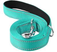 Dog Traction Rope - Night Reflective Pet Training Rope with Collar Lead Belt (Cyan)