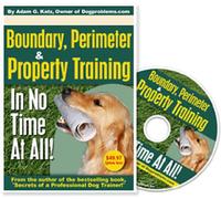 Dog Training DVD: Boundary, Perimeter and Property Training In No Time At All!