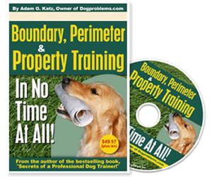 Dog Training DVD: Boundary, Perimeter and Property Training In No Time At All!