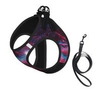 Dog Universe Ensemble harnais et laisse pour animal domestique, réglable, respirant, doux, en maille avec bande réfléchissante