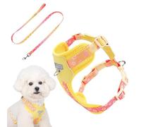 Dog Vest Harness - Dog Chest Harness | Breathable Adjustable Vest | Small Medium Breed, Outdoor Hârness with Matching Leash, Escape-Proof, for Hiking Park Travel Service Work
