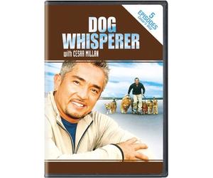 Dog Whisperer with Cesar Millan - Stories from Cesar's Way by Cesar Millan
