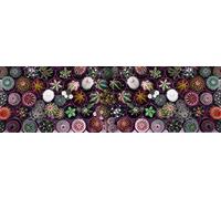Doge Milano Chemin de cuisine, 100% Made in Italy, Tapis résistant aux taches avec impression numérique, Tapis antidérapant et lavable, Modèle Cactus - Boden, cm 180x52
