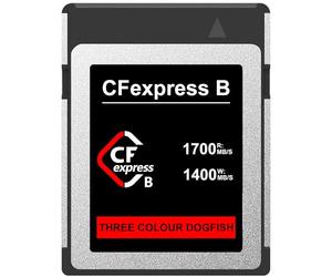 Dogfish 512Go Carte Mémoire CFexpress Type B, jusqu'à 1700 Mo/s en Lecture, CFe Card pour Enregistrement vidéo RAW 4K 8K avec Nikon Canon Panasonic Caméra