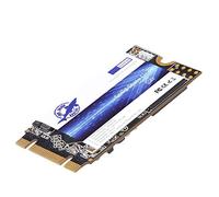 Dogfish SSD M.2 2242 256Go Ngff Ordinateurs De Bureau à l'intérieur De l'actionneur à SolideDe Haute Performance De Lecteur De Disque Dur Comprend Un SSD 120Go 240Go 480Go 500Go(256Go, M.2 2242)