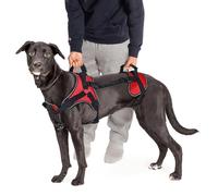 Doggie Stylz Harnais de Levage Multifonction pour Chien - Conçu pour Le Levage de Chien Avant Uniquement, arrière ou Complet - Veuillez mesurer Votre Chien Avant de Commander.