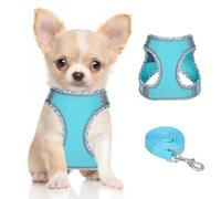 DoggieKit Harnais pour Chiens de Petite Taille et de Taille Moyenne, Harnais et Laisse pour Chiots, Harnais en Maille réfléchissante et Respirante, Gilet Doux et rembourré pour Chiens
