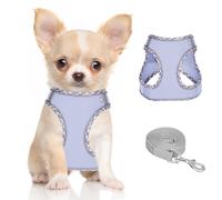 DoggieKit Harnais pour Chiens de Petite Taille et de Taille Moyenne, Harnais et Laisse pour Chiots, Harnais en Maille réfléchissante et Respirante, Gilet Doux et rembourré pour Chiens