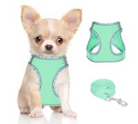 Doggiekit Harnais pour petit chien avec laisse, step réfléchissant réglable dans le harnais pour chiot, harnais en maille respirante, gilet rembourré doux pour chiens de taille extra petite/moyenne