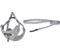 Dogness Ensemble de marche Laisse 1.5M+Cabane pour chien (Gris clair)
