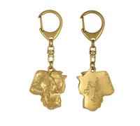Dogue argentin, Dogo argentino - Porte-clés doré avec chien dans boîte cadeau, d