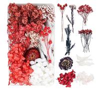 Dog's Booty Fleurs Séchées Fleur Sechees Naturel Fleur Sechees Decoration Fleurs Séchées Resine Epoxy pour Bougies DIY Bougie Ongles Artisanat Scrapbooking Décoration Florale（Rouge