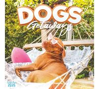 Dogs Canine 2026 Calendar: 12 Months of Dogs on Holiday and Happy Tails