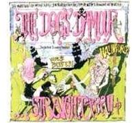 Dogs D'amour - Straight
