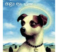 Dog's Eye View - Daisy