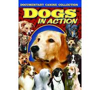Dogs in Action