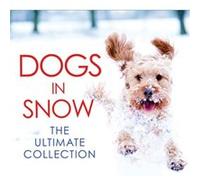 Dogs in Snow: The Ultimate Collection (Photographs) Black And White Publishing (Auteur)